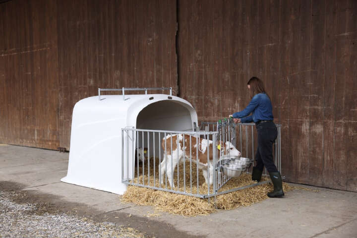 KERBL Kälberbox CalfHouse Premium DUO ohne Umzäunung